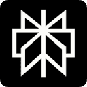Perplexity (퍼플렉시티) 로고